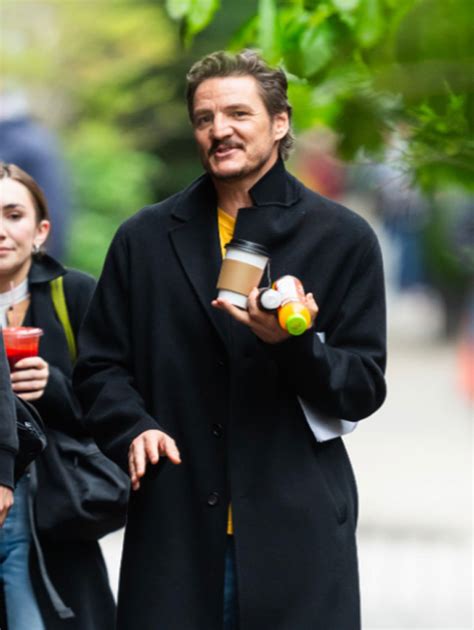 pedro pascal materialists